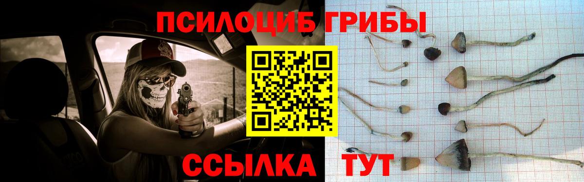 цены наркотик  Вход с VPN  Красногорск  Галлюциногенные грибы мухоморы 
